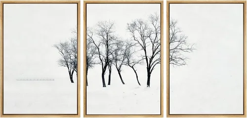 Vista 86 de SIGNWIN Lienzo enmarcado para pared, juego de arte nublado de tormenta, cielo, bosque otoñal, árboles, rústico, naturaleza, fotografía, realismo
