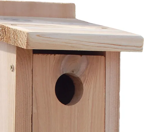 Vista 5 de Woodlink NABB Audubon Cedar Bluebird Casa