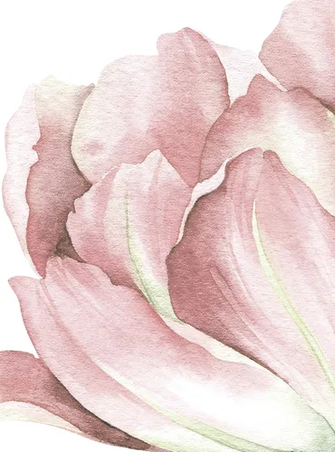Vista 5 de Garden Tulips - Vinilo adhesivo para pared, despegar y pegar (rubor)