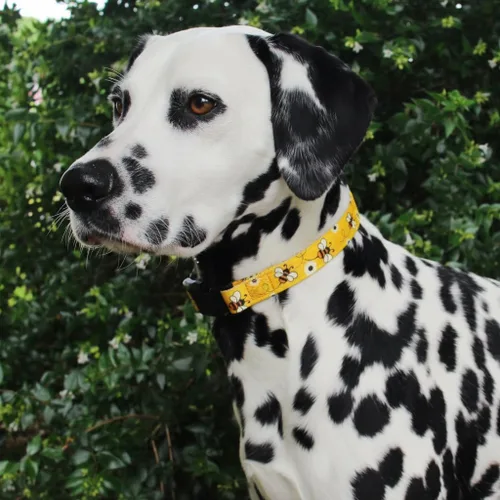 Vista 4 de Collar de perro Limeloot Bees, Collar de perro ajustable para perros machos y hembras, pequeño