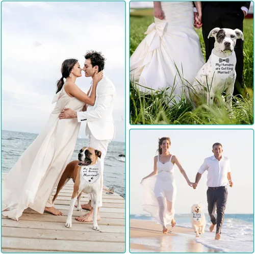 Vista 3 de Bandanas en blanco para perros pequeños, 3 unidades, bufanda triangular blanca sólida de algodón de primera calidad, diseño personalizado