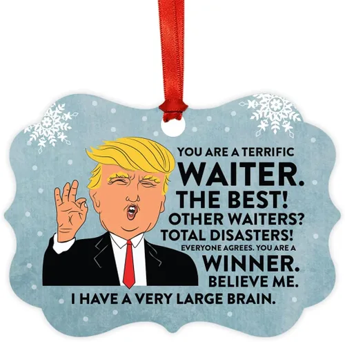 Vista 137 de Andaz Press Presidente Donald Trump Fancy Frame Recuerdo Adorno de Navidad Regalo de broma, excelente contador, 1 paquete, divertidas ideas