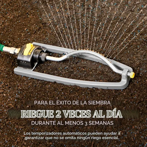 Vista 8 de Scotts Turf Builder - Mezcla rápida de semillas de césped, 3 libras. Césped de rápido crecimiento para un césped temporal, gema en 4-7 días
