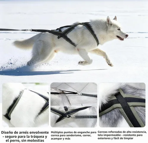 Vista 2 de Arnés de tracción para perros - Peso y correr (verde bosque, M)