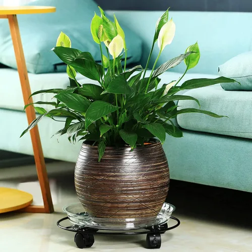 Vista 7 de Paquete de 3 cajas grandes de metal para plantas de 13 pulgadas con ruedas, soporte rodante de hierro forjado resistente con ruedas para macetas