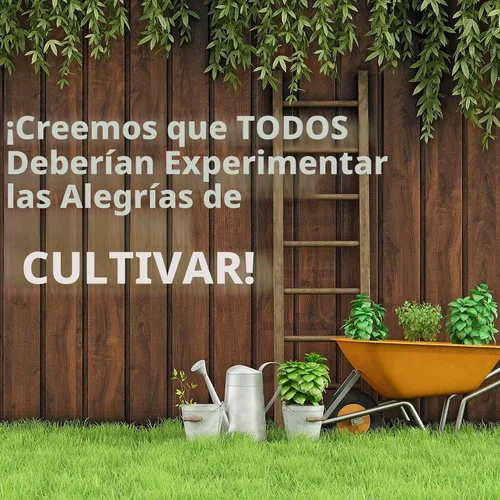 Vista 6 de Sustainable Seed Co Semillas de berro orgánico 0.04 oz ~ 780 semillas