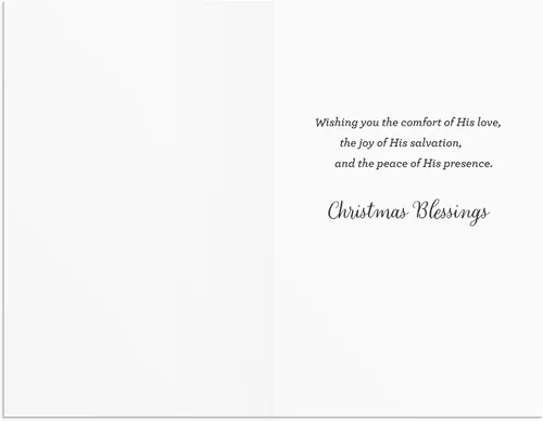 Vista 6 de DaySpring - Clásicos navideños en blanco y negro - 60 tarjetas y sobres de Navidad a granel (U1347)