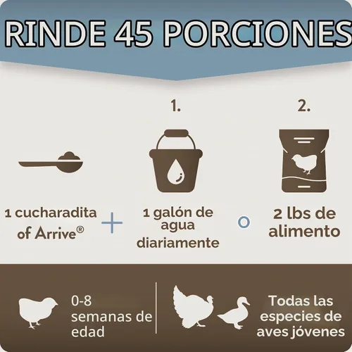 Vista 5 de FlockLeader Arrive, Suplemento diario de aves de corral para pollitos bebés de 0 a 8 semanas, 8 onzas