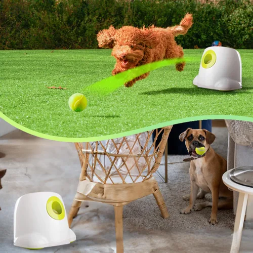 Vista 2 de ALL FOR PAWS Lanzador automático de bolas para perros, máquina interactiva para mascotas, lanzador de bolas para interiores, 3 bolas incluidas