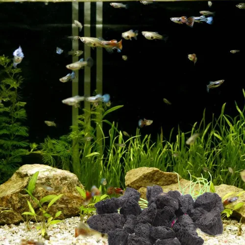 Vista 7 de IMIKEYA Black Stones 1 paquete de piedras naturales decorativas para paisajismo, rocas volcánicas para cuencos de fuego, hogueras, juegos de troncos