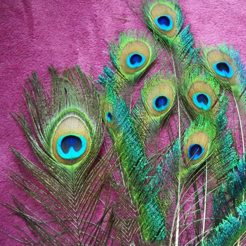 Vista 5 de 100 plumas de pavo real naturales con ojo