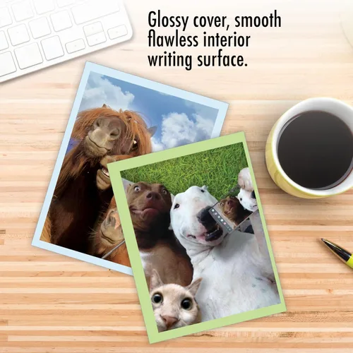 Vista 5 de The Best Card Company - Tarjetas de animales en blanco en caja, 4 x 5.12 pulgadas, mascotas surtidas, zoológico, tarjetas de vida silvestre