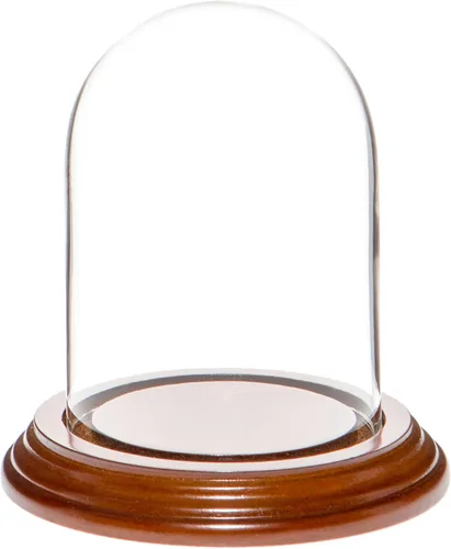 Vista 8 de Plymor campana protectora de cristal para exhibición, de 3 x 4 pulgadas, abovedada