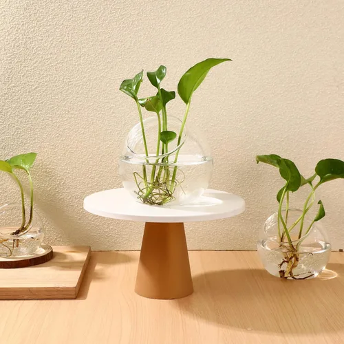 Vista 8 de YARNOW Juego de 3 plantas de aire, terrarios de globo de vidrio, planta de aire, terrario pequeño