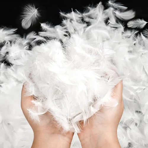 Vista 2 de Gran cantidad de plumas rosas, plumas de pato y de ganso blancas, relleno de plumas para almohada, ropa de cama, bricolaje, estándar de EE. UU.