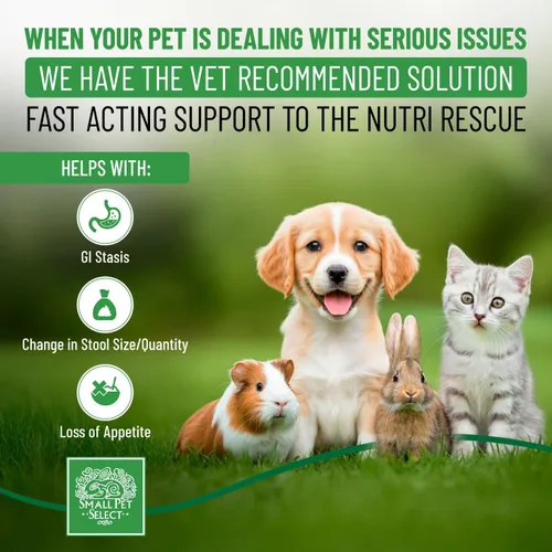 Vista 3 de Small Pet Select Nutri-Rescue (nutrición rápida para mantener el tracto gastrointestinal en movimiento) (8 onzas líquidas)