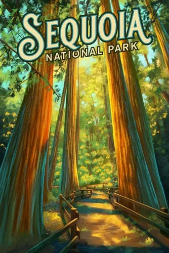 Vista 24 de Lantern Press Acadia National Park Jordan Pond Puzzle, 1000 piezas