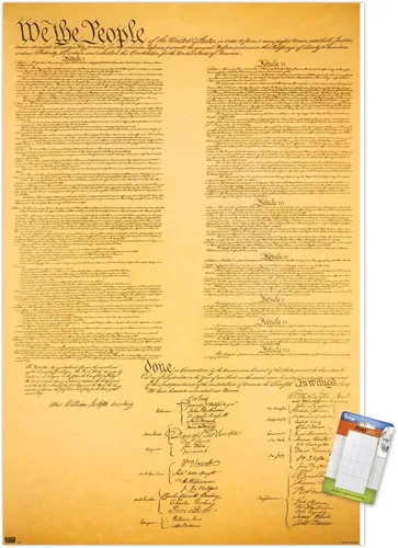 Vista 10 de Trends International Póster de pared de The Constitution, 14.725 x 22.375 pulgadas, versión enmarcada de madera de granero Versión enmarcada Barnwood