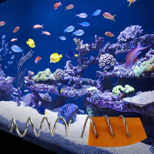 Vista 6 de Alimentador de acuario para pecera, verduras, locha, malawi cíclidos caracol, alimentador de hundimiento de acero inoxidable, juego de 2 piezas