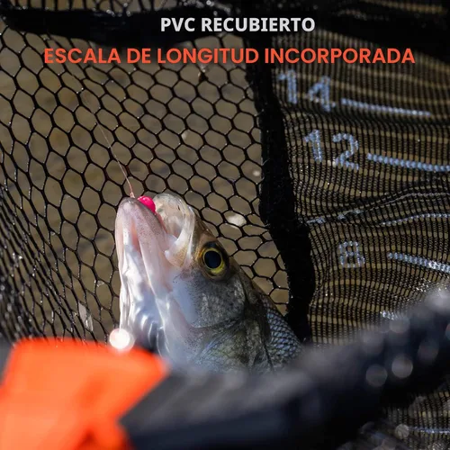 Vista 4 de KastKing Pontus - Red de pesca para pescar, plegable y ligera, red de pesca de agua dulce con escala de longitud integrada, mango de aluminio, malla