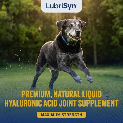Vista 3 de LubriSyn HA - Suplemento de ácido hialurónico para cadera y articulaciones