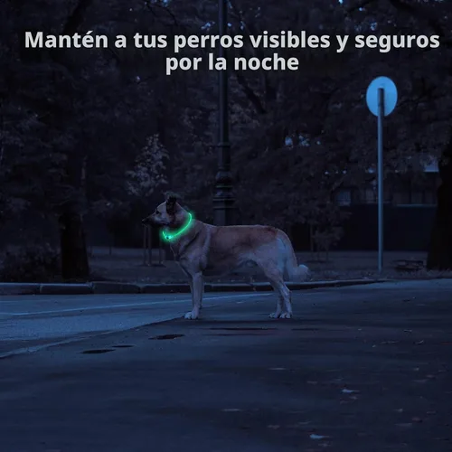 Vista 3 de NOVKIN Collar de perro LED, collar de perro iluminado para caminar por la noche, impermeable IP67, collar para mascotas recargable por USB, luces