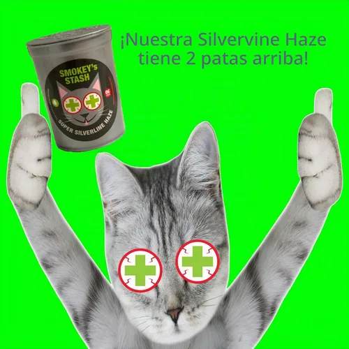 Vista 5 de Smokey's Stash Silvervine Haze - Potente mezcla de hierba gatera y vid plateada para gatos
