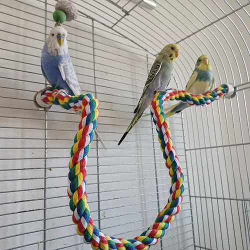 Vista 4 de Mygeromon - Cuerda para pájaros, accesorios de escalada (tuerca de metal de 31.5 pulgadas) para periquito, loro, cacatúas, periquito, colorido