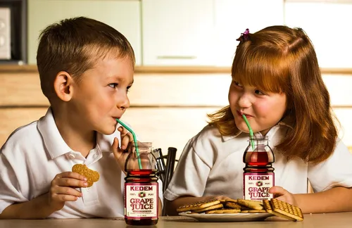 Vista 3 de Kedem Jugo de uva, botella de plástico sin BPA de 8 onzas (paquete de 12) fabricada con uvas Concord, certificado Kosher