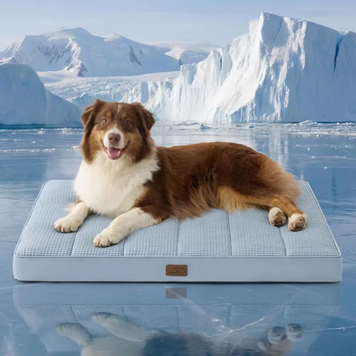Vista 63 de Bedsure - Cama ortopédica pequeña para perros chicos, impermeable, con funda extraíble lavable, tapete de espuma con forma de huevera para mascotas