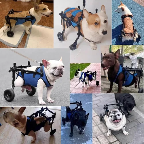Vista 4 de Lightweight Portable Dog Wheelchair, 2-Wheel Pet Stroller, Breathable Mobility Aid for Small Dogs with Back Leg Support,M