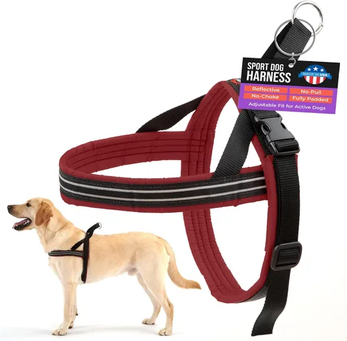 Vista 7 de Arnés de deportes ComfortFlex de PetPDC, Berry American made, designed, cut, assembled, and sewn in the USA, padded reflective harness, integrated