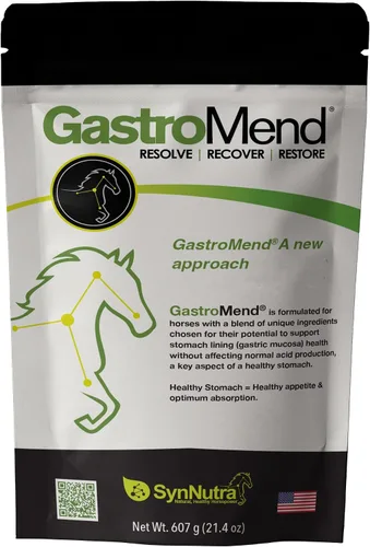 Vista 9 de G-Chill Soporte digestivo y composure para caballos – Combinación de GastroMend + SynNutra SynChill – 30 dosis – Apoya la integridad del estómago
