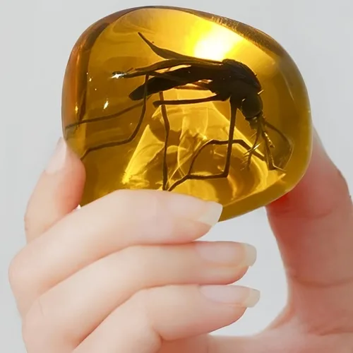 Vista 4 de VEOJEIN Mosquito in Amber Fossil Réplica peso ligero - Ventana antigua del ADN - Reliquia de la era del dinosaurio - Artefacto de resina premium