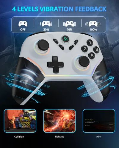 Vista 7 de Multi-Platform Wireless Controller, 2.4G PC Gaming Controller, Compatible with Windows, Nintendo Switch, iPad, iOS, MacOS, Android, Steam, Luna,and