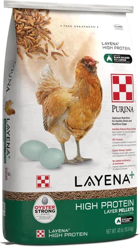 Vista 4 de Purina Layena + Alimento de pollo con alto contenido de proteínas (10 libras)