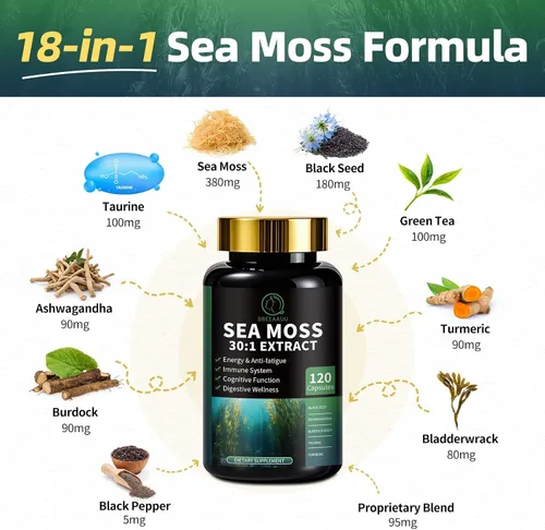 Vista 5 de Shilajit para hombres, paquete de musgo marino y shilajit, suplementos todo en 1 con coenzima Q10, semilla negra, ashwagandha, taurina, bardana