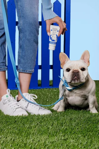 Vista 5 de Squishface Pasta antiarrugas – Bulldog, bulldog francés, pug, bulldog inglés – Limpia arrugas, manchas de lágrimas, bolsillos de cola y patas
