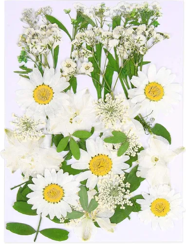 Vista 20 de Augshy Juego de flores secas prensadas reales con calcomanías transparentes de mariposa, calcomanías para álbumes de recortes, flores secas