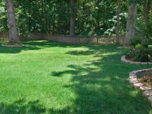 Vista 2 de Hancock Seed Co. Titan RX Turf Type Tall Fescue Grass Seeds, 5 libras.