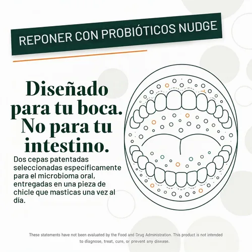 Vista 5 de Nudge Goma de mascar probiótica, menta sin azúcar, soporte para microbioma