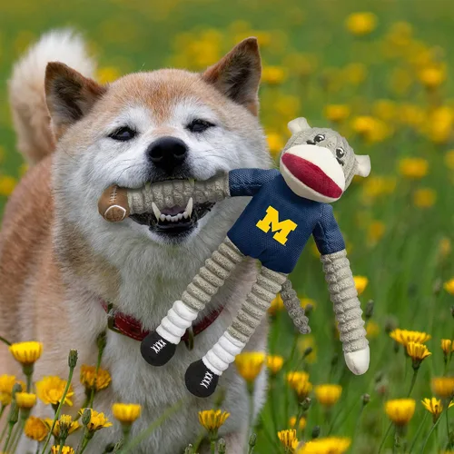 Vista 3 de Littlearth NCAA Michigan Wolverines Sock Monkey and Flying Disc - Conjunto de juguetes para mascotas, color del equipo, talla única