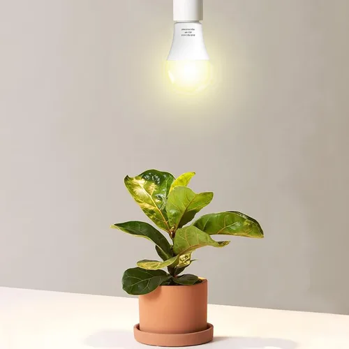 Vista 3 de Paquete de 3 Bombillas de Luz de Crecimiento de Espectro Completo, Luz A19 para Plantas de Interior, Bombilla de Crecimiento de 9W Regulable E26