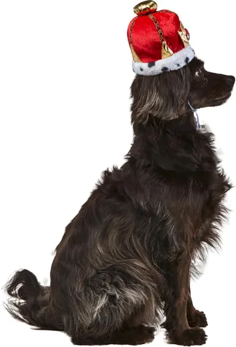 Vista 3 de Rubies Corona King Pet para perros o gatos, S/M
