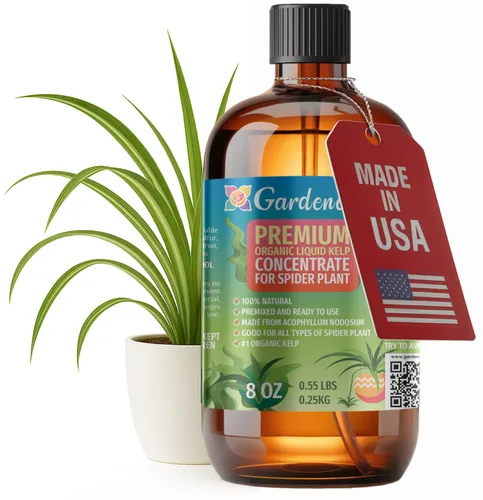 Vista 65 de GARDENERA Superalimento orgánico prémium de algas marinas y algas marinas para plantas AROID - 32 oz - Concentrado de fertilizante líquido de algas