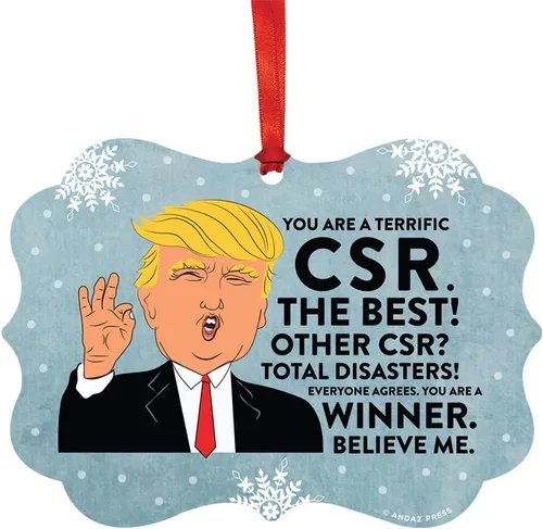 Vista 139 de Andaz Press Presidente Donald Trump Fancy Frame Recuerdo Adorno de Navidad Regalo de broma Ejecutivo de Cuenta, 1 paquete, Divertidas Ideas