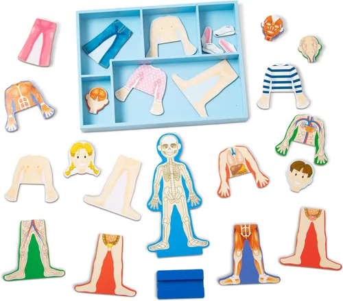 Vista 4 de Set de juego magnético de anatomía del cuerpo humano, con 24 piezas y bandeja de almacenamiento, de la marca Melissa & Doug