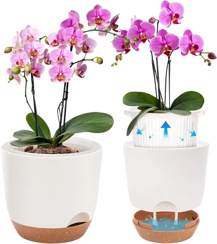 Vista 11 de Macetas de Orquídeas de Riego Automático para Plantas de Interior, 5.8 Pulgadas Macetas para Orquídeas, Macetas de Flores para Plantas