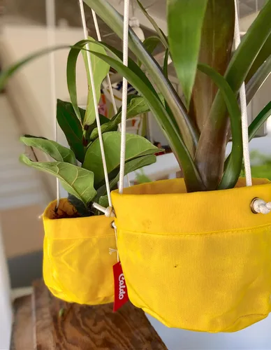Vista 5 de Caldo Dos perchas para plantas, perfectas para decoración de interiores o exteriores (amarillo)