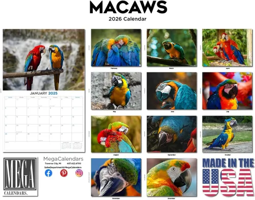 Vista 96 de Calendario de grises africanos 2025 2026 – Planificador mensual de pared de aves africanas – 12 x 18 pulgadas (abierto), calendario de pared